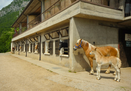 Cooperativa Ai Rucc e dintorni